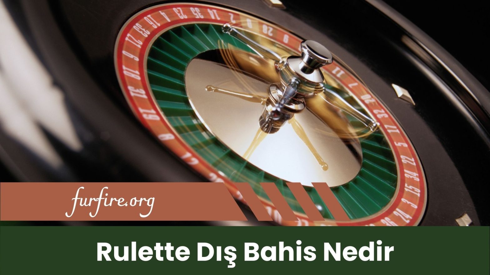 Rulette Dış Bahis Nedir